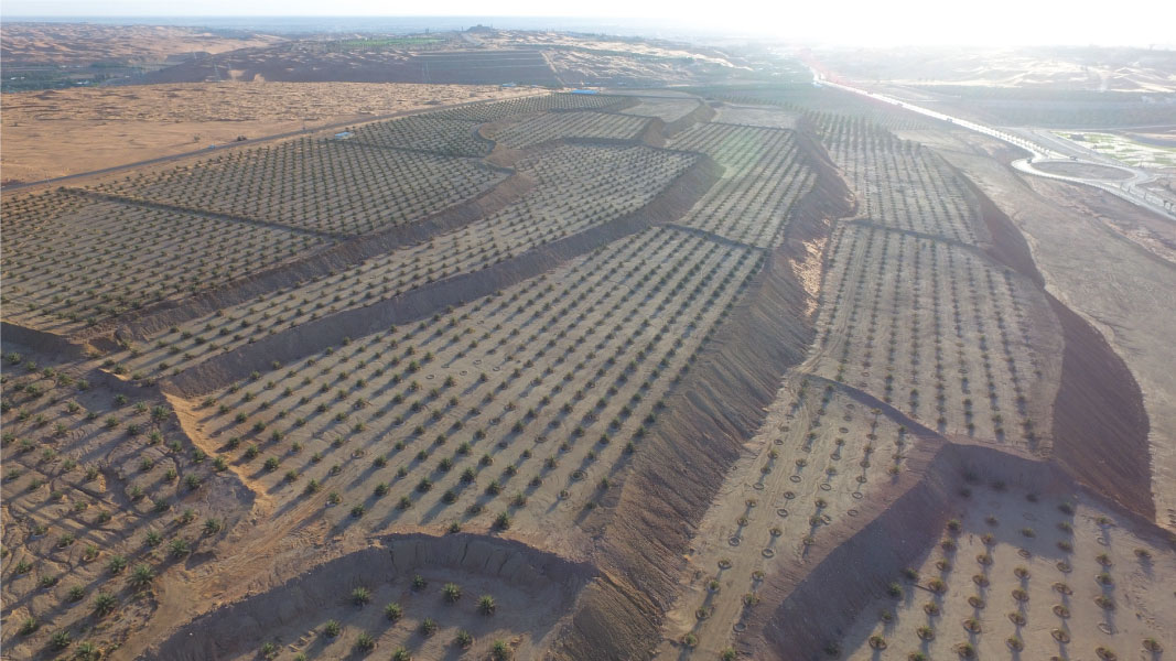 Al Thuwairat projects